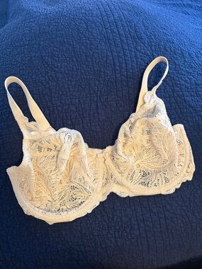Felina Lace Underwire Bra in Cream